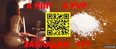спиды Моздок