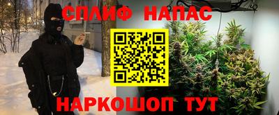 mdma Можга