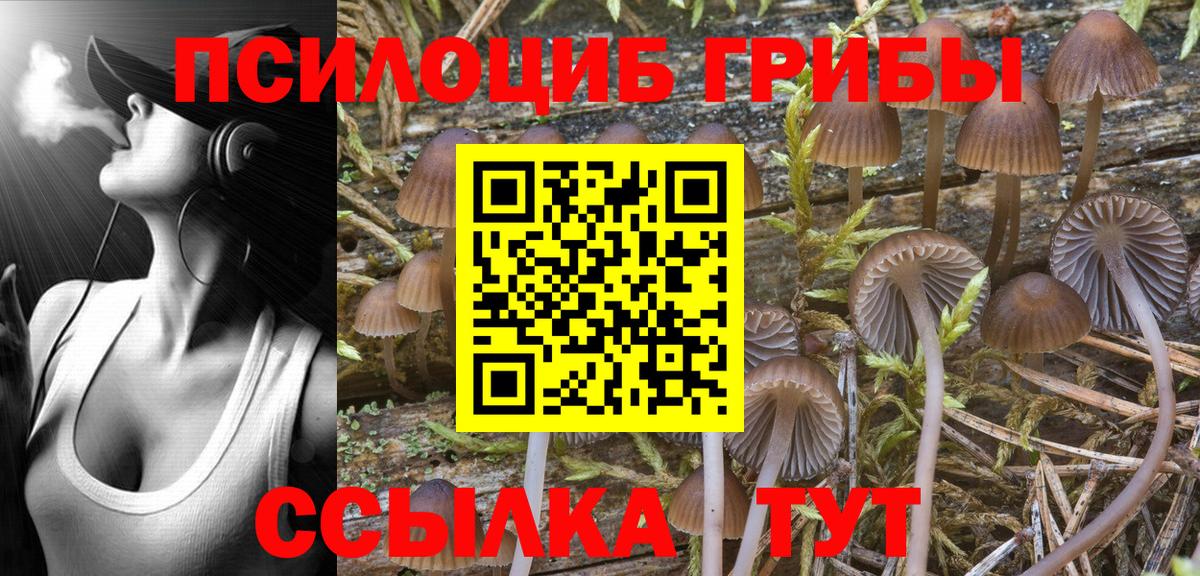Псилоцибиновые грибы Magic Shrooms  Вход с VPN  хочу наркоту  Камышин 