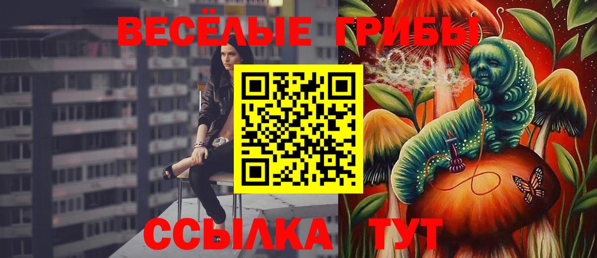 Галлюциногенные грибы GOLDEN TEACHER  закладки  Камышин 